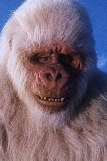 The Ivory Ape