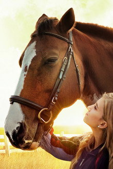 The Horse Dancer