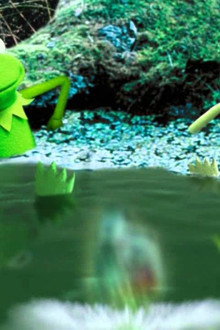 Kermit's Swamp Years