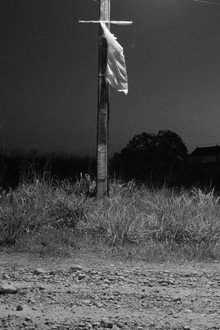 Fordlandia Malaise