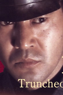 傘次郎・新子捕物日記 夫婦十手