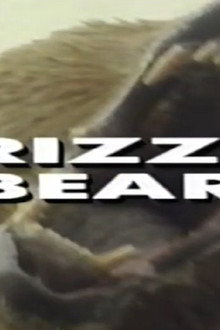 Predators of the Wild: Grizzly Bear