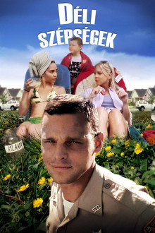 Déli szépségek