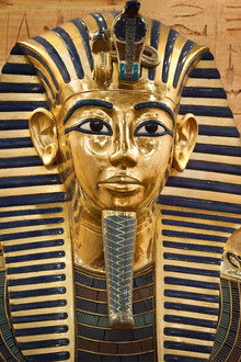 King Tut: Forgotten Treasure