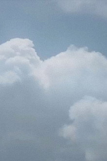 Sheltering Skies