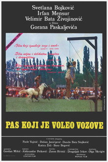 Pas koji je voleo vozove