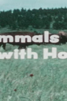 Mammals With Hoofs