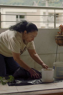 Cuidado de una Orquidea
