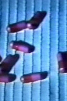 The Pill Poppers