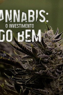 Cannabis: O Investimento do Bem