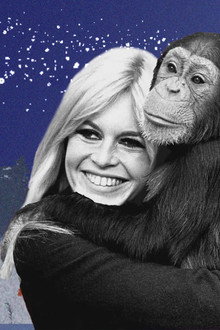 Brigitte Bardot, le serment fait aux animaux
