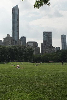The Voices of New York