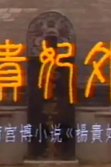 杨贵妃外传