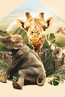 Mega Zoo