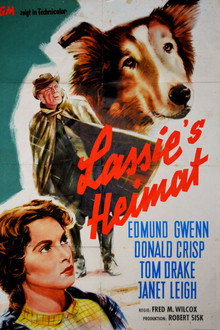 Lassies Heimat