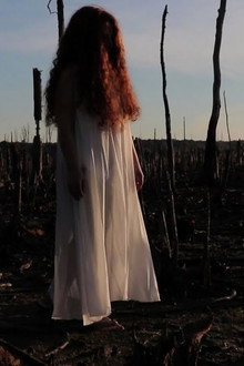 The Girl in the Cornfield
