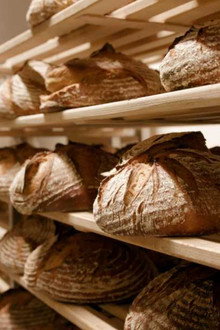 Brot