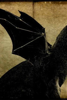 Bloodlines: The Jersey Devil Curse