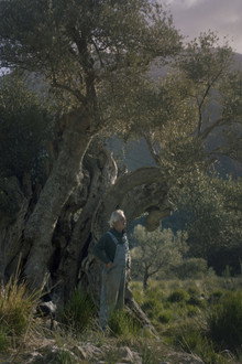 Pedra i oli