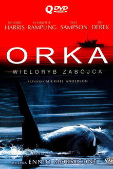 Orka. Wieloryb zabójca