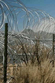 Zone 51 : la base secrète qui intrigue la planète