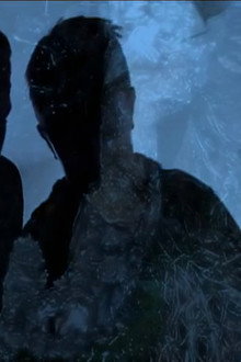 Roots