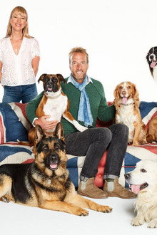 Britain's Favourite Dogs: Top 100