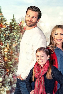 Love at the Christmas Contest