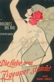 Die Liebe vom Zigeuner stammt