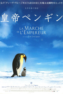 皇帝ペンギン