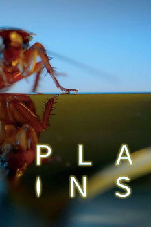 Planet Insect
