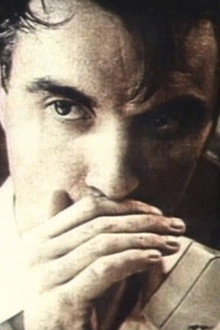 Talking Heads: Storytelling Giant