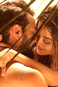 Hate Story 2