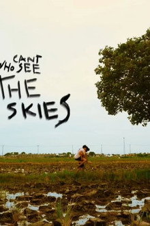 The Boys Who Can't See The Skies