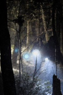 Before Dawn