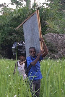 Makongo
