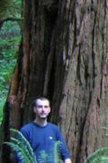 Redwoods: Anatomy of a Giant