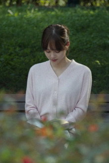 해바라기
