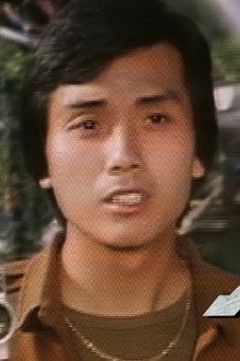 大白鯊