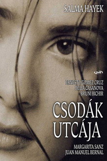 Csodák utcája