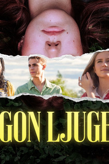 Någon ljuger