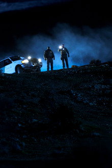 Illegal Aliens