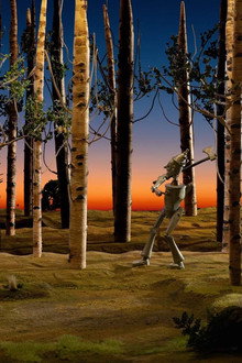 The Tin Woods