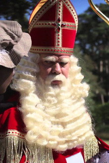 Sinterklaas Verdwaalt In Het Grote Bos