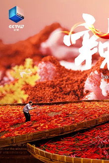 辣椒的征途