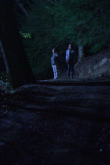 Below the Trees