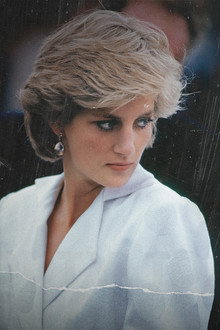 Duty to Diana: The Butler's Story