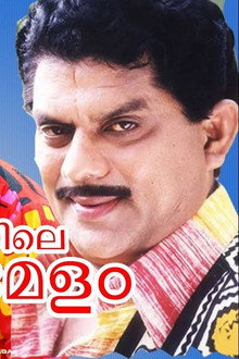 കിള്ളിക്കുറുശ്ശിയിലെ കുടുംബമേള