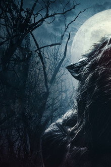 Wolf Hollow