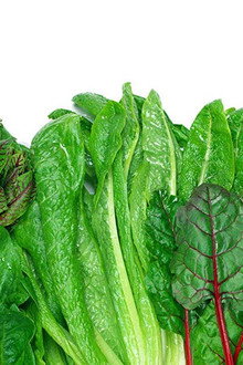 Foods That Cure Disease